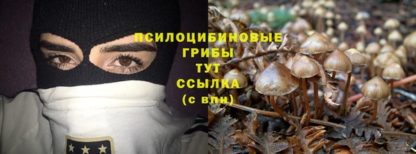 спиды Балахна