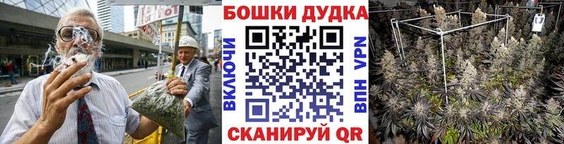 Бошки марихуана сатива  Купить закладки  Олёкминск 